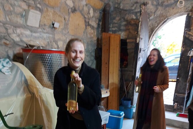 Wine Tasting in the Countryside from Budapest - Timing, meeting details, and the return to Budapest