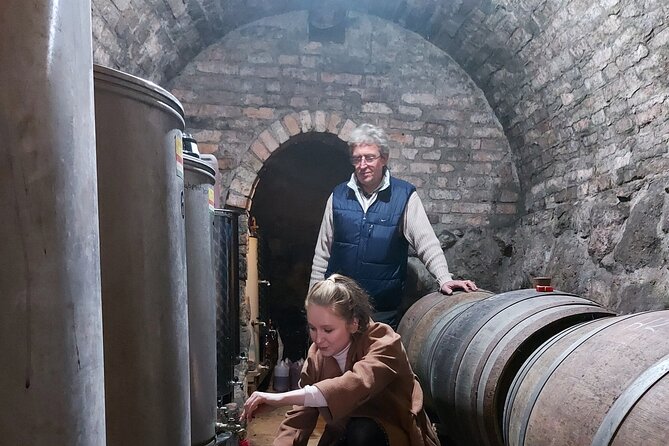 Wine Tasting in the Countryside from Budapest - Who will enjoy this countryside wine outing